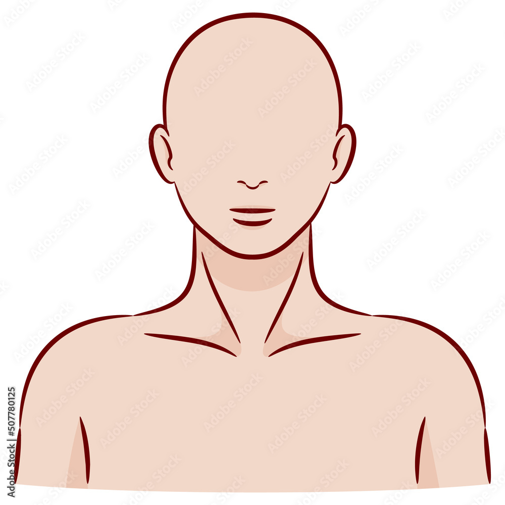 人体のパーツ カラーのカットイラスト素材 / 正面から見た頭部 人体のパーツ カラーのカットイラスト素材 / 正面から見た頭部