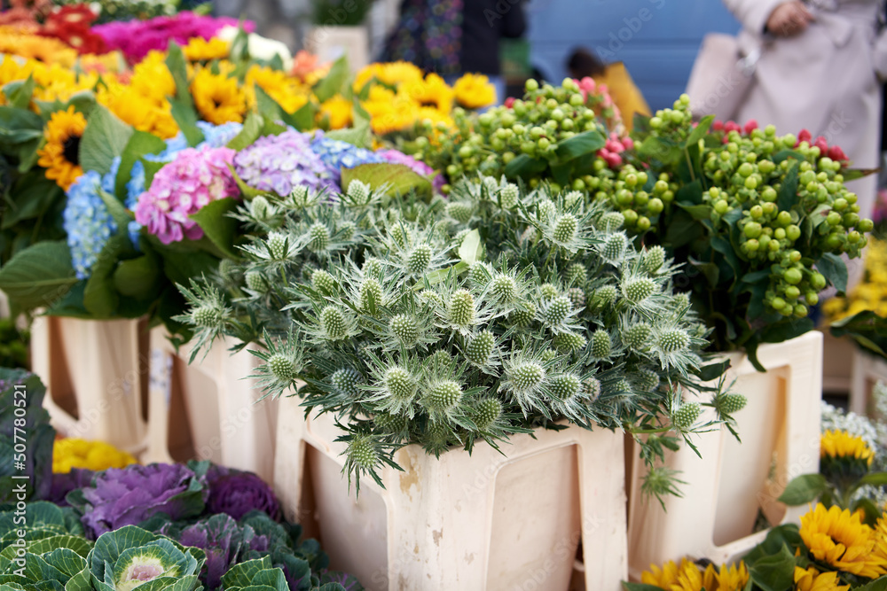 Fresh plants and flowers on display at the farmers market Fresh plants and flowers on display at the farmers market