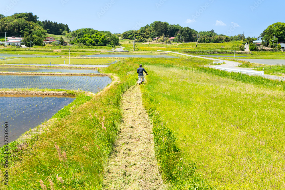 Φωτογραφία 日本の農業　休耕田畔の自走式草刈機による除草作業