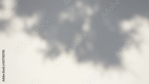 Abstract 4k stock vintage video background. Morning sunlight and grey tree shadows blowing by wind reflecting on rural texture of white wall. Natural leaves of many trees overlay on flat surface