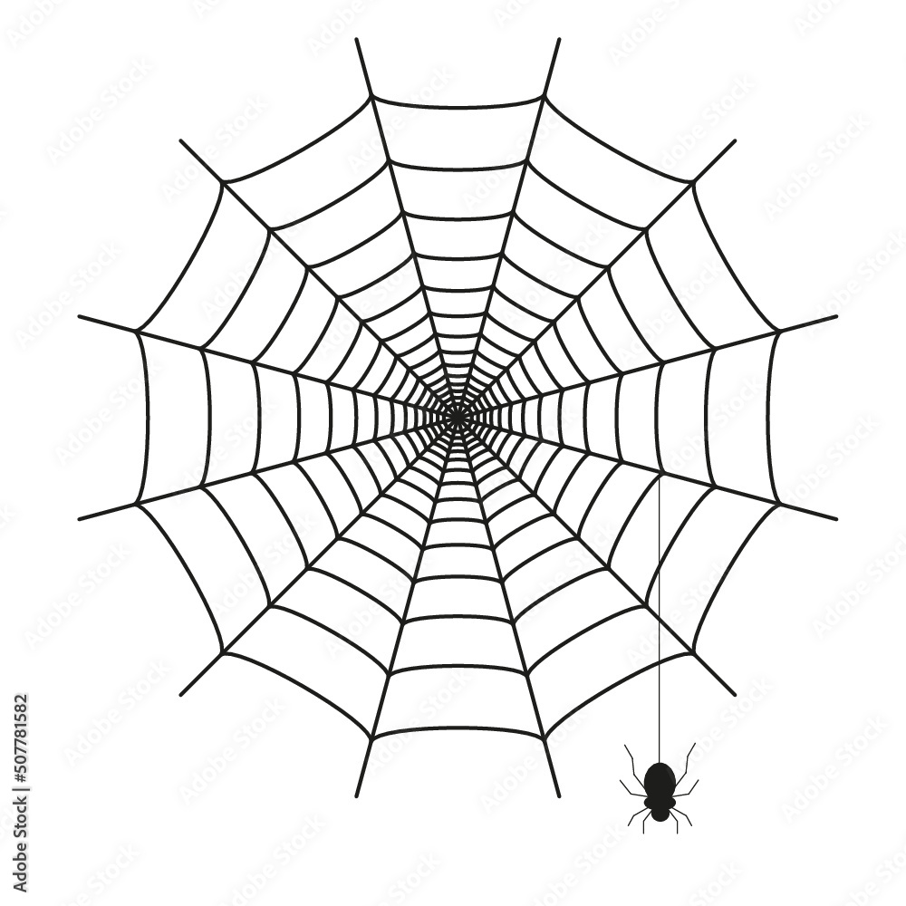 Obraz premium Fond vectoriel toile d’araignée isolée sur fond blanc au moment d'Halloween 