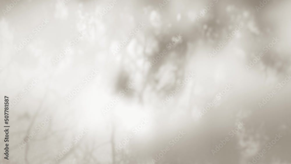 Abstract 4k stock sepia video background. Morning sunlight and tree shadows blowing by wind reflecting on rural old texture of weathered wall. Natural leaves of many trees overlay on flat surface