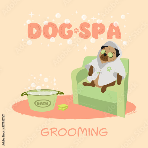 illustration with dog for grooming salon.