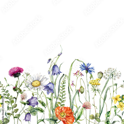 Watercolor meadow flowers border of chamomile  clover and campanula. Hand painted floral card of wildflowers isolated on white background. Holiday Illustration for design  print  background.