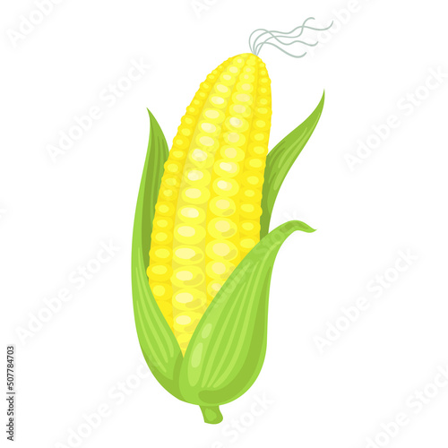 Ear of sweet corn with green leaves. In cartoon style. Isolated on white background. Vector flat illustration.