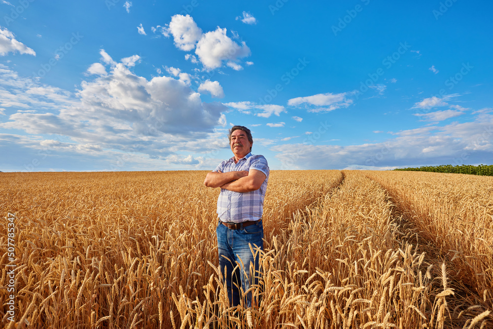 Satisfied mature farmer touching with care his ripe wheat field Satisfied mature farmer touching with care his ripe wheat field