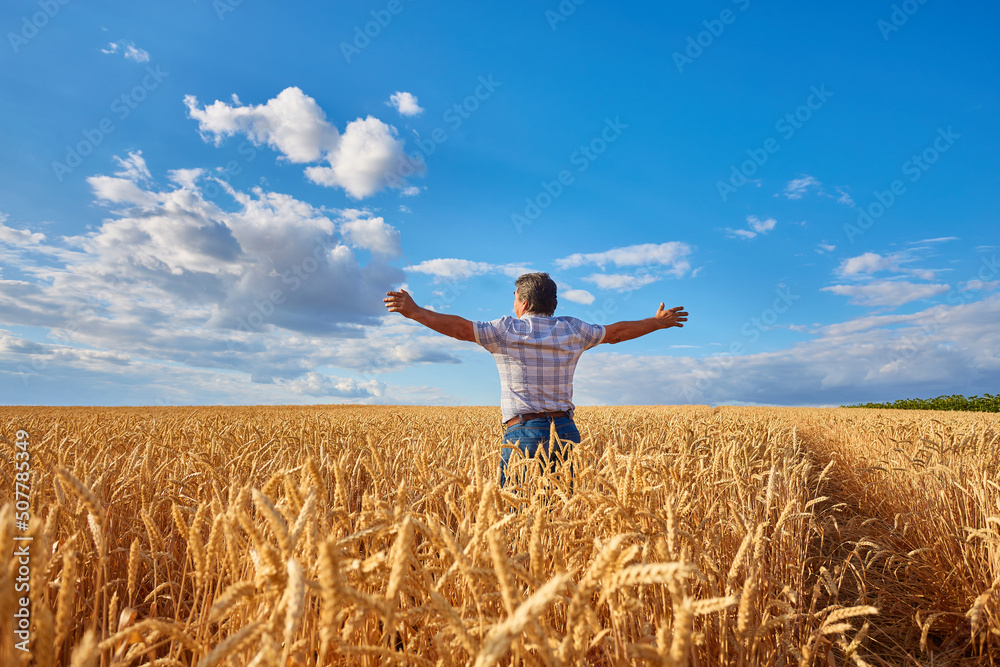 An adult man in a farm field among ripe cereals and raised his arms to the sides. An adult man in a farm field among ripe cereals and raised his arms to the sides.