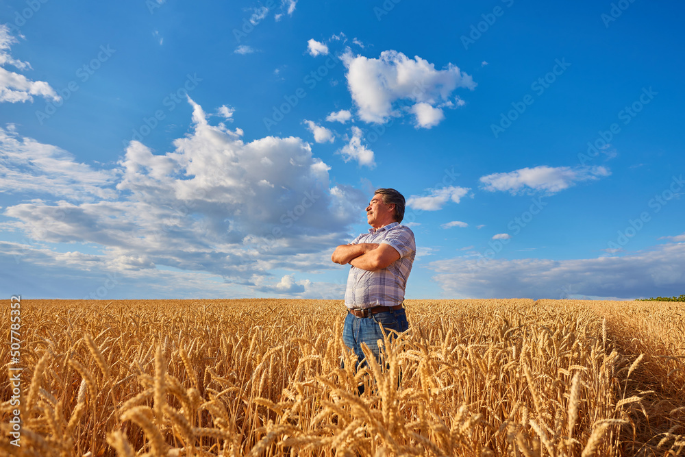 farmer standing in a wheat field farmer standing in a wheat field