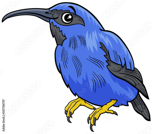 honeycreeper bird animal character cartoon illustration