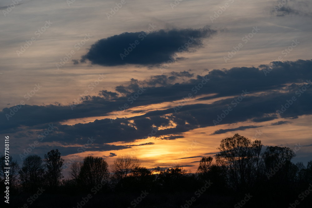 Forest silhouette and clouds during sunset, cumulus cloud above two incline stripes of clouds, sun glow throung cirrostratus nebulosus