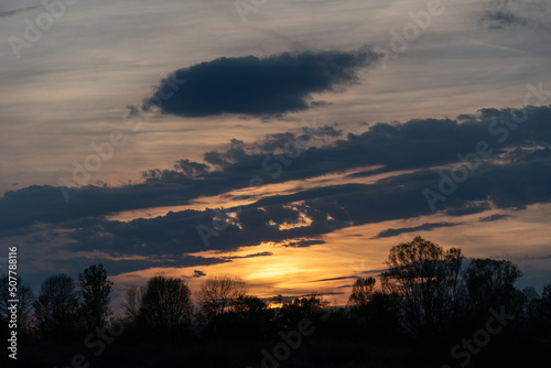 Forest silhouette and clouds during sunset, cumulus cloud above two incline stripes of clouds, sun glow throung cirrostratus nebulosus photo