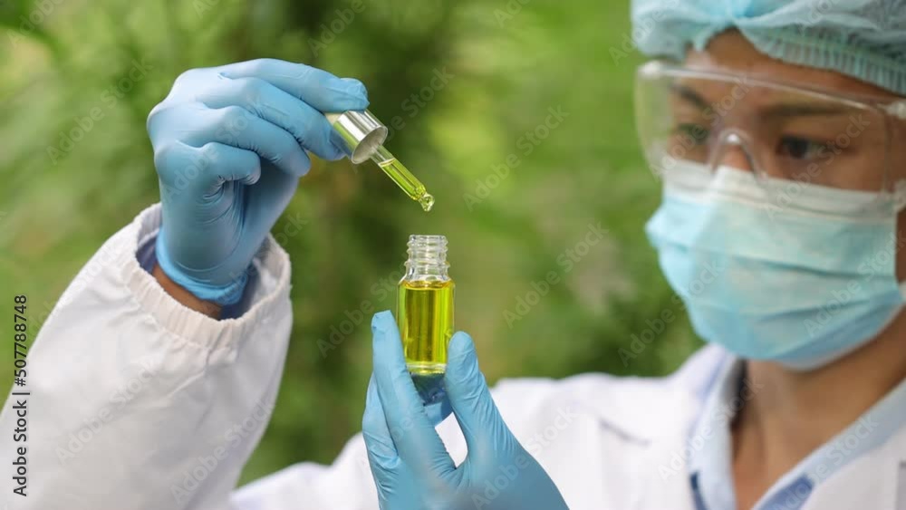 Hand holding Pipette with cannabis oil against Cannabis plant, CBD Hemp oil, medical marijuana oil concept