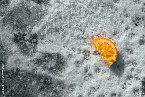 A small piece of orange on the white snow
