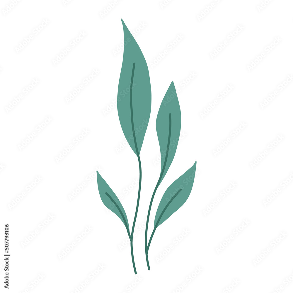 Modern and simple green plant with leaves, flat vector illustration isolated on white background. Botanical element. Cute garden leaves. Modern and simple green plant with leaves, flat vector illustration isolated on white background. Botanical element. Cute garden leaves.