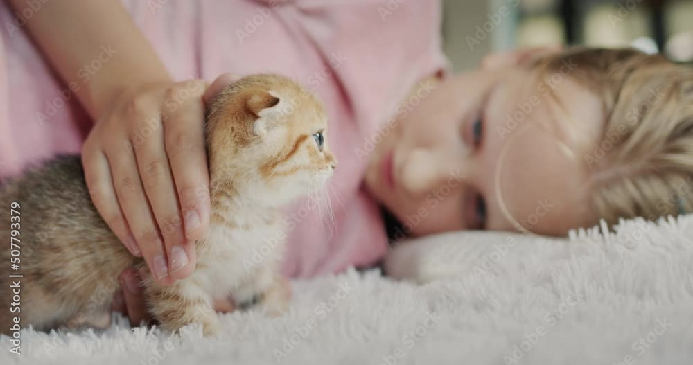 The child plays with a ginger kitten, lies on the floor next to the pet The child plays with a ginger kitten, lies on the floor next to the pet