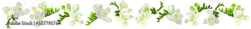 Set of beautiful white freesia flower. Lots of flowers. Printing for textiles. Spring white flowers. Summer delicate flowers photo