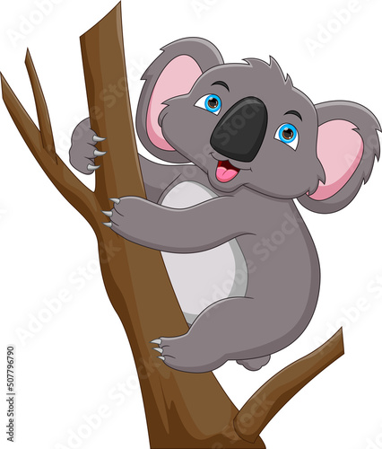 cartoon cute koala on a tree on white background