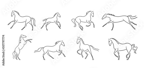 Vector line set of silhouettes horses