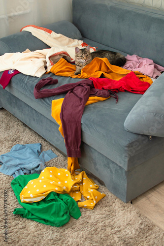 Clutter and interior concept is a kind of messy home living room with scattered things. Cute and grey cat lying on a grey sofa in a dirty apartment. Selective focus. Vertical photography