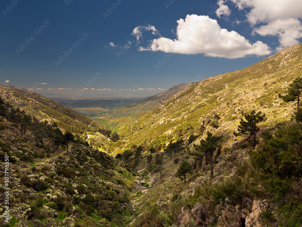 Naklejka premium Garganta Eliza