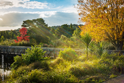 Colourful autumn landscae with golden trees by a wooden bridge in warm sunset light. photo