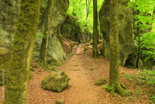 A stone staircase in the Mullerthal Trail, Luxembourg photo