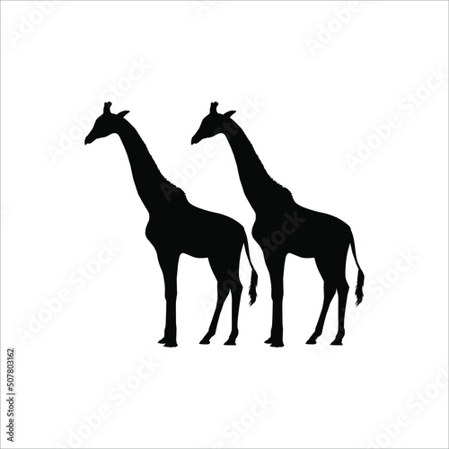 A Pair of Giraffe Silhouette for Logo or Graphic Design Element. Vector Illustration © Berkah Visual
