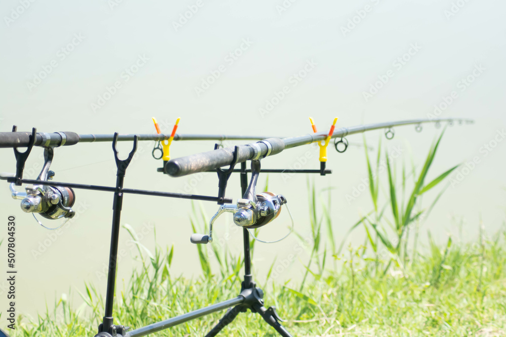 Fishing rods catch fish. Fishing with two rods. Fishing rods catch fish. Fishing with two rods.