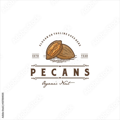 Pecan Nut Logo Design Vector Image