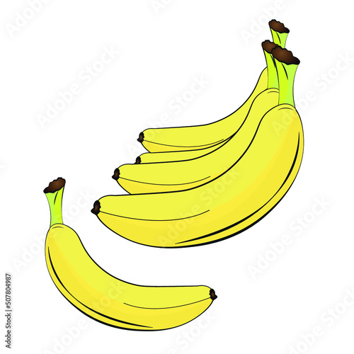 premium banana vector illustration image 