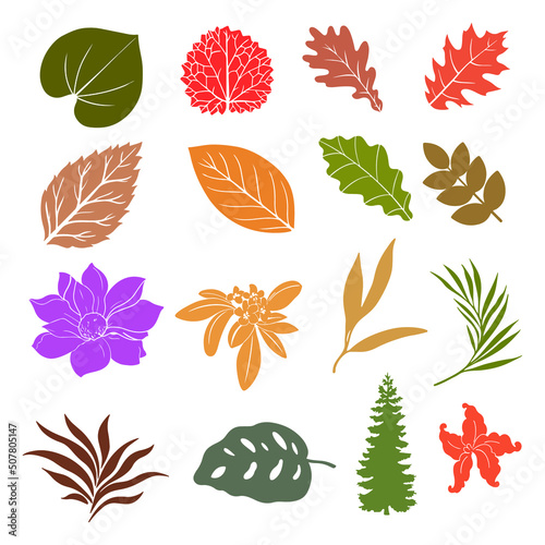 vintage leaves nature stamp in vector