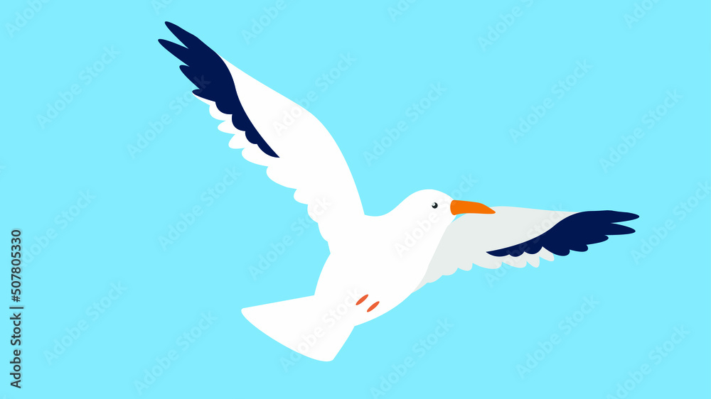 Obraz premium White seagull spread its wings in flight