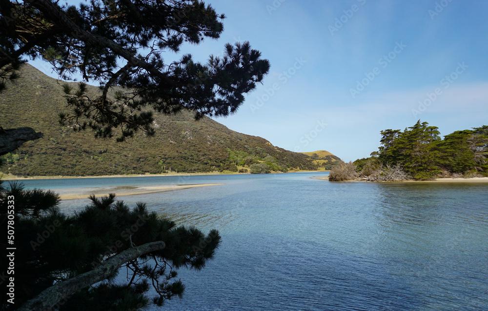 Beautiful View Around Holiday Park in Northland, New Zealand.