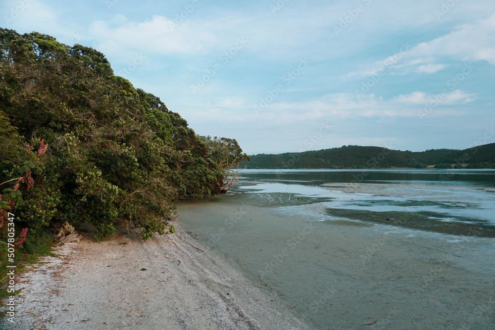 Beautiful evening at the lake in Northland region, New Zealand.