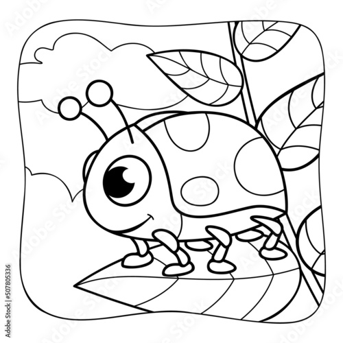 ladybug black and white. Coloring book or Coloring page for kids. Nature background
