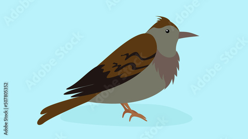 The lark sits and looks to the right