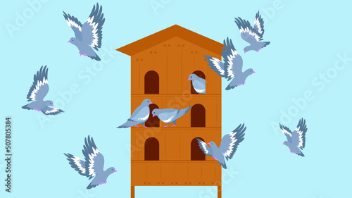 Pigeons fly near the dovecote photo