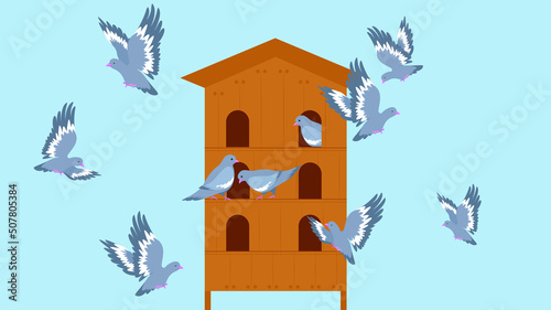 Pigeons fly near the dovecote