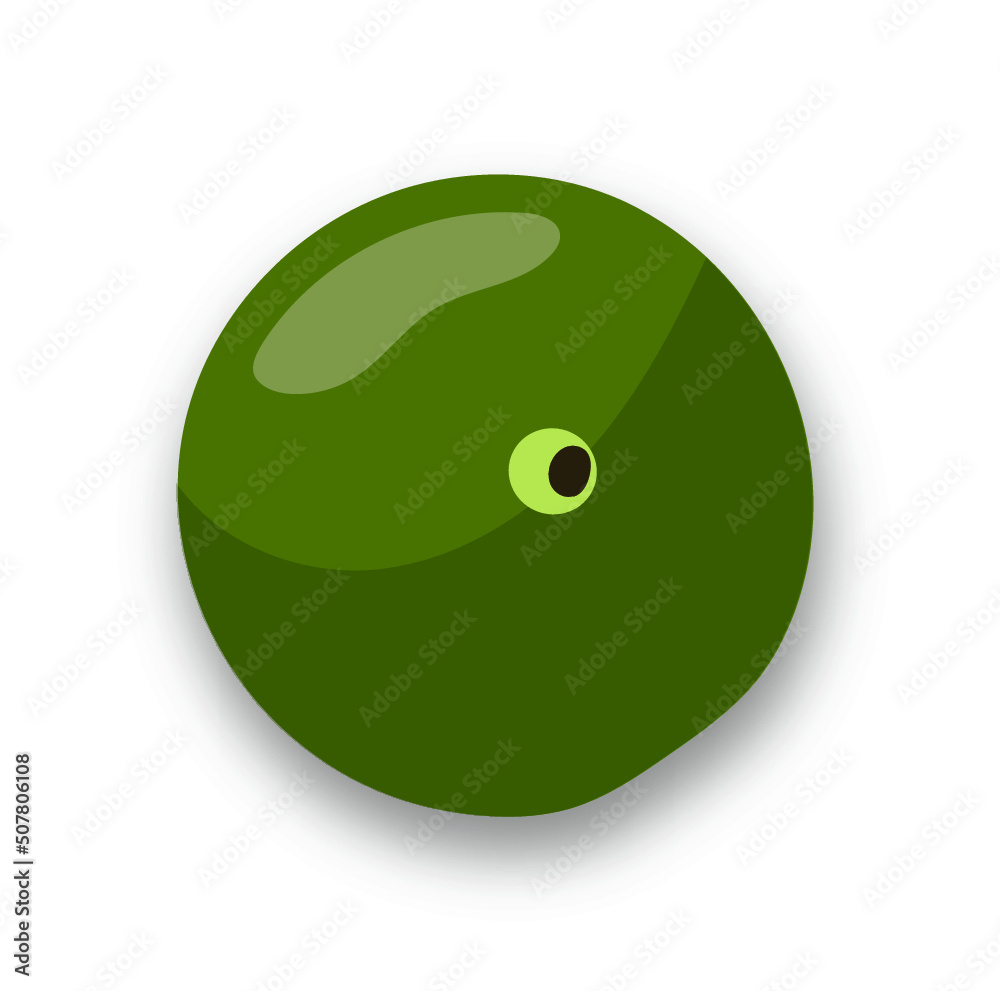 アボカドのイラスト(ベクター) アボカドのイラスト(ベクター)