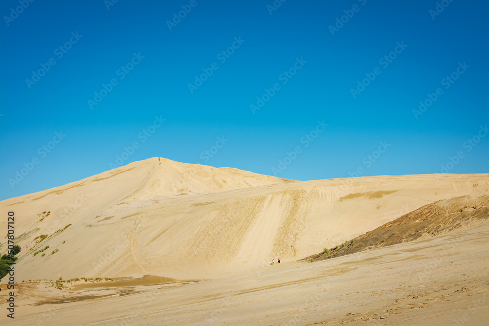 Golden hills of Giant sand dunes under cloudless blue sky. Tiny figures of people climbing up the dunes demonstrate the scale of formation. Te Paki, Northland, New Zealand