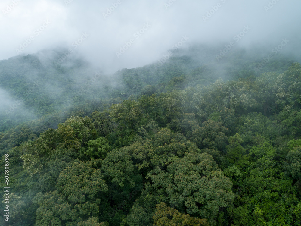 Aerial view of beautiful forest mountain landscape Aerial view of beautiful forest mountain landscape
