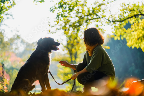 back view of a female dog owner with her pet dog in the park giving  instructions during a  dog training at  sunset with warm  Sunbeams surrounded  by green trees and colorful leaves in romantic autum