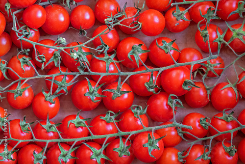 Red cherry tomatoes on vine © Tatty