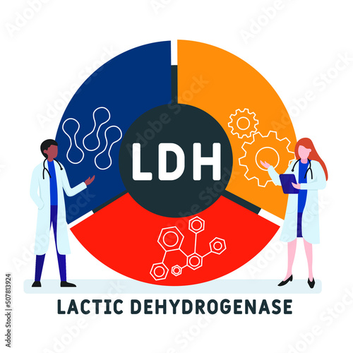 LDH - lactic dehydrogenase acronym. business concept background.  vector illustration concept with keywords and icons. lettering illustration with icons for web banner, flyer, landing page photo