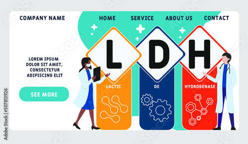 LDH - lactic dehydrogenase acronym. business concept background.  vector illustration concept with keywords and icons. lettering illustration with icons for web banner, flyer, landing page