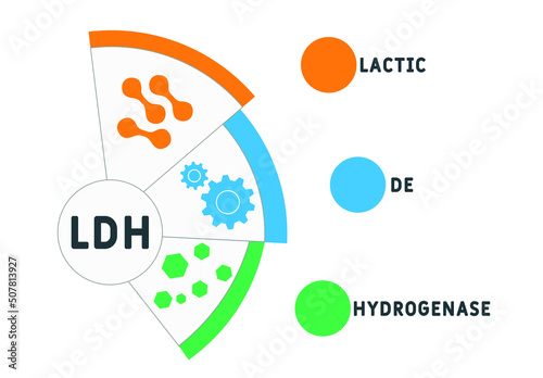 LDH - lactic dehydrogenase acronym. business concept background.  vector illustration concept with keywords and icons. lettering illustration with icons for web banner, flyer, landing page
