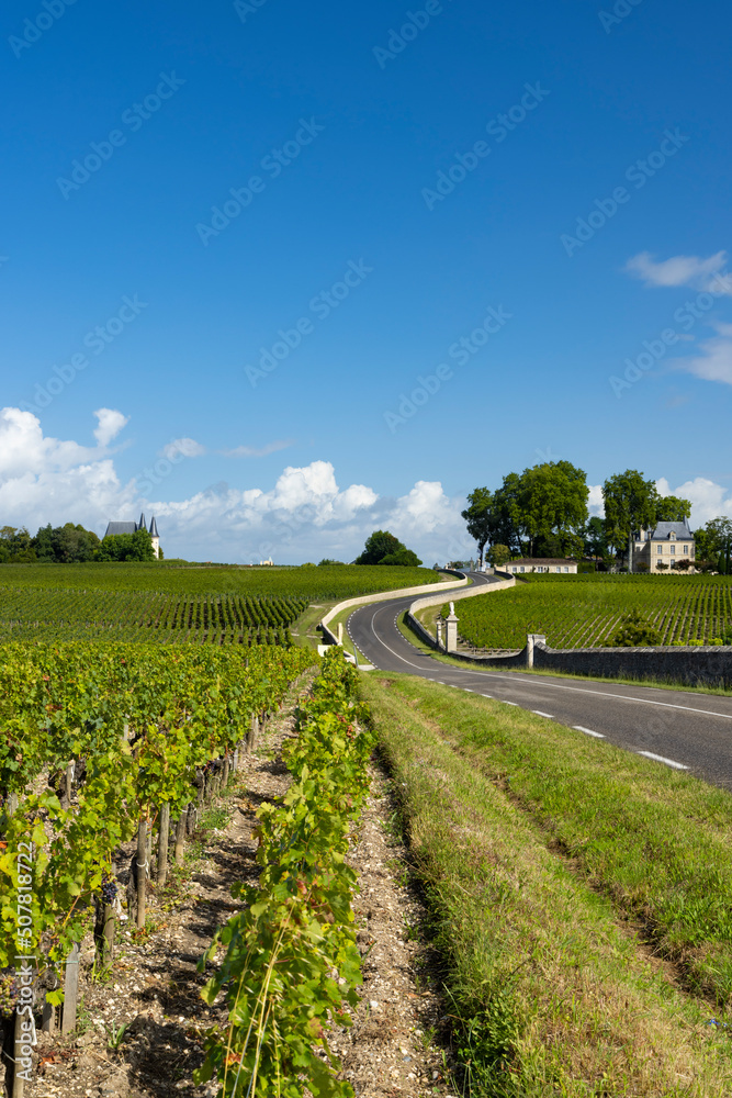 Typical vineyards near Chateau Pichon Longueville Comtesse de Lalande, Bordeaux, Aquitaine, France
