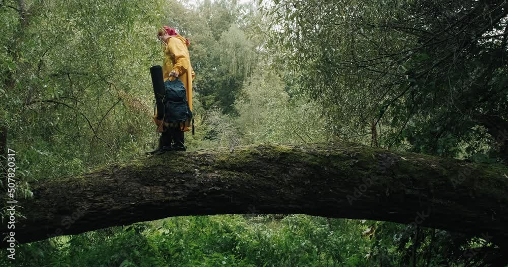 Hiker in a yellow raincoat with a backpack walking on a fallen tree in the forest. The concept of backpacking, lifestyle, hike, extreme hobbies and travel Hiker in a yellow raincoat with a backpack walking on a fallen tree in the forest. The concept of backpacking, lifestyle, hike, extreme hobbies and travel