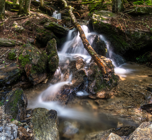 Waterfall with a branch