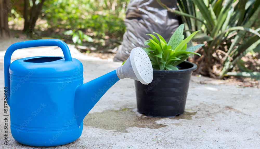 Blue plastic watering can on cement floor Blue plastic watering can on cement floor